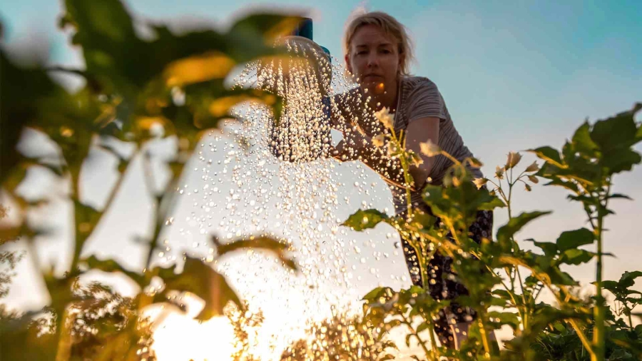A woman watering her plants in garden