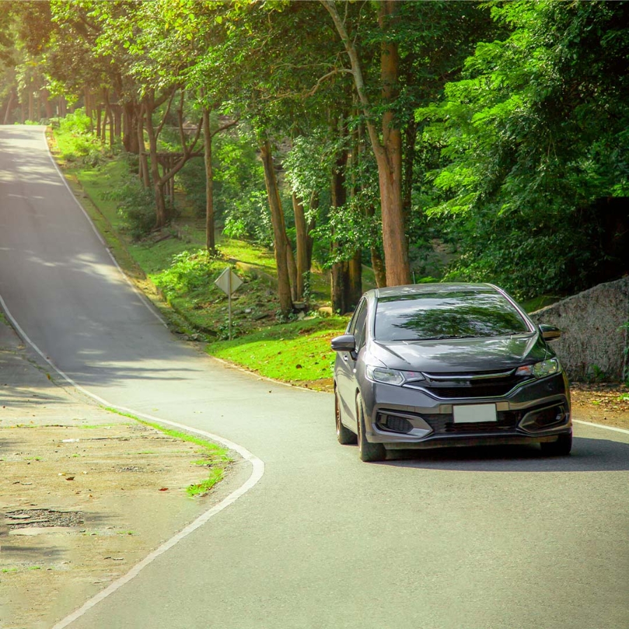 Driving Car in the highway between forest